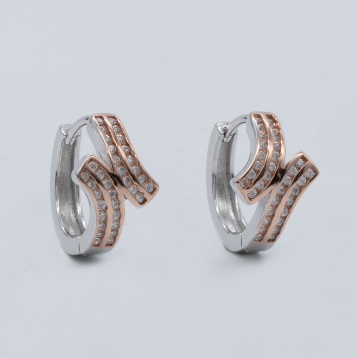 Two-Tone Wave Earrings